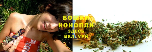 амф Богданович