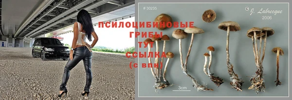 амф Богданович